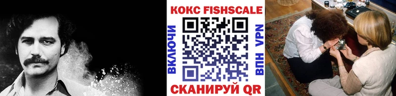 Купить  Кашира  Cocaine Fish Scale 