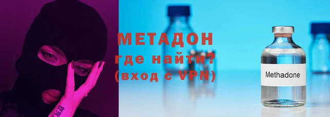 прущие грибы Белокуриха