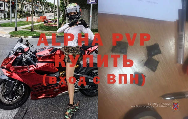 прущие грибы Белокуриха