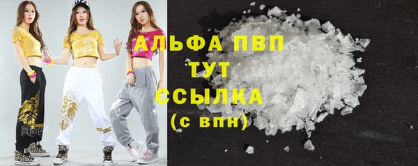 прущие грибы Белокуриха