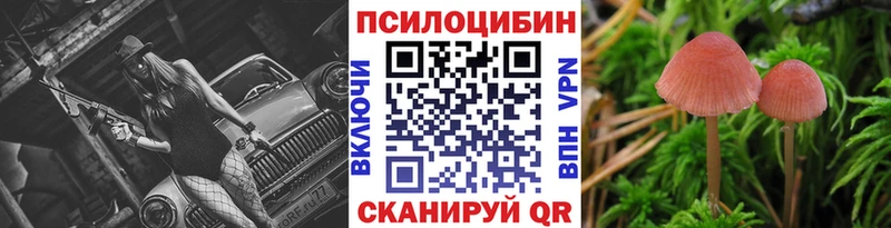 Купить где  Кашира  Псилоцибиновые грибы Psilocybine cubensis 